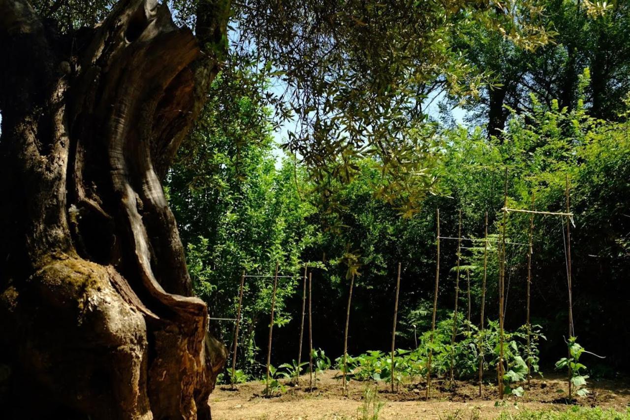 Villa Boukari Chlomos المظهر الخارجي الصورة